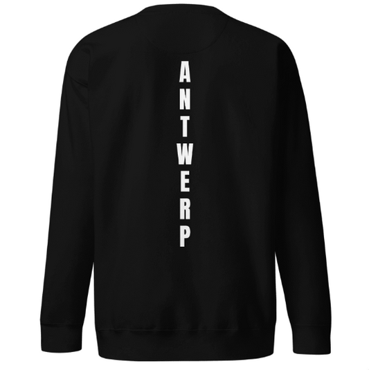 Antwerp Sweater Classic Kids