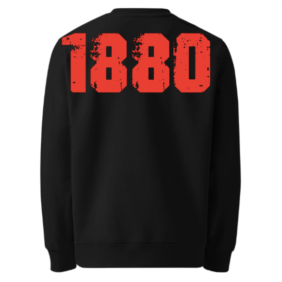 Antwerp Sweater "Can Na Va Ro"