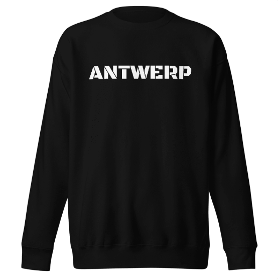 Antwerp Sweater Stone NoLogo