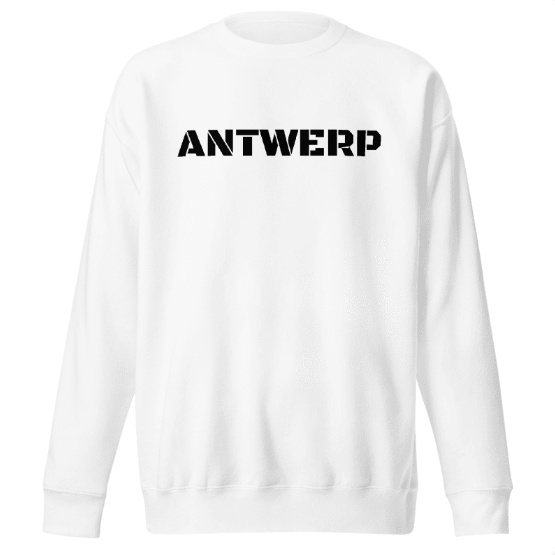 Antwerp Sweater Stone NoLogo Kids