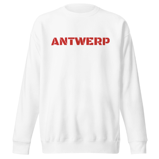 Antwerp Sweater Stone NoLogo Kids